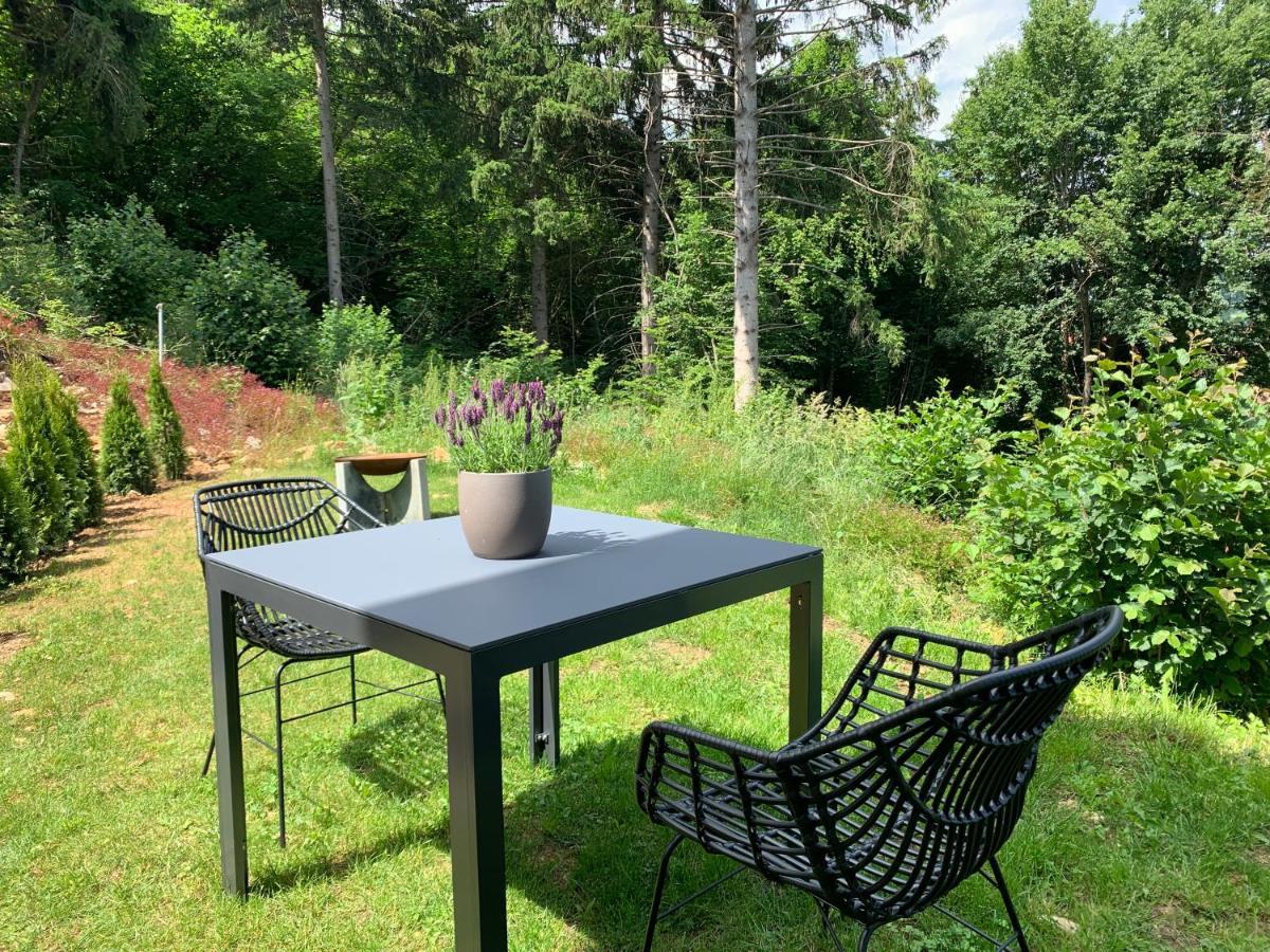 Moderne Wohnung Im Gruenen Mit Privatem Garten Donaueschingen Eksteriør bilde