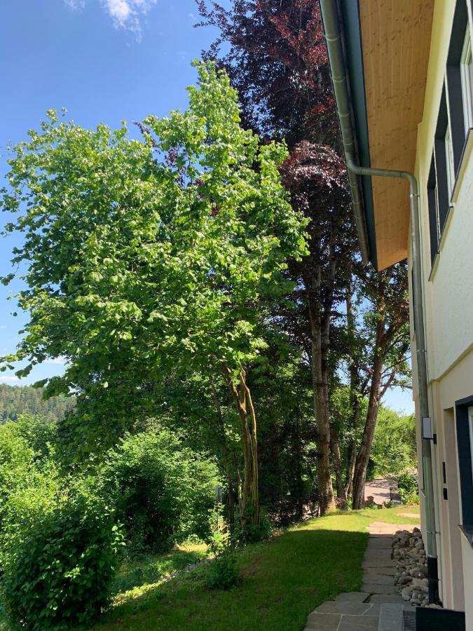 Moderne Wohnung Im Gruenen Mit Privatem Garten Donaueschingen Eksteriør bilde